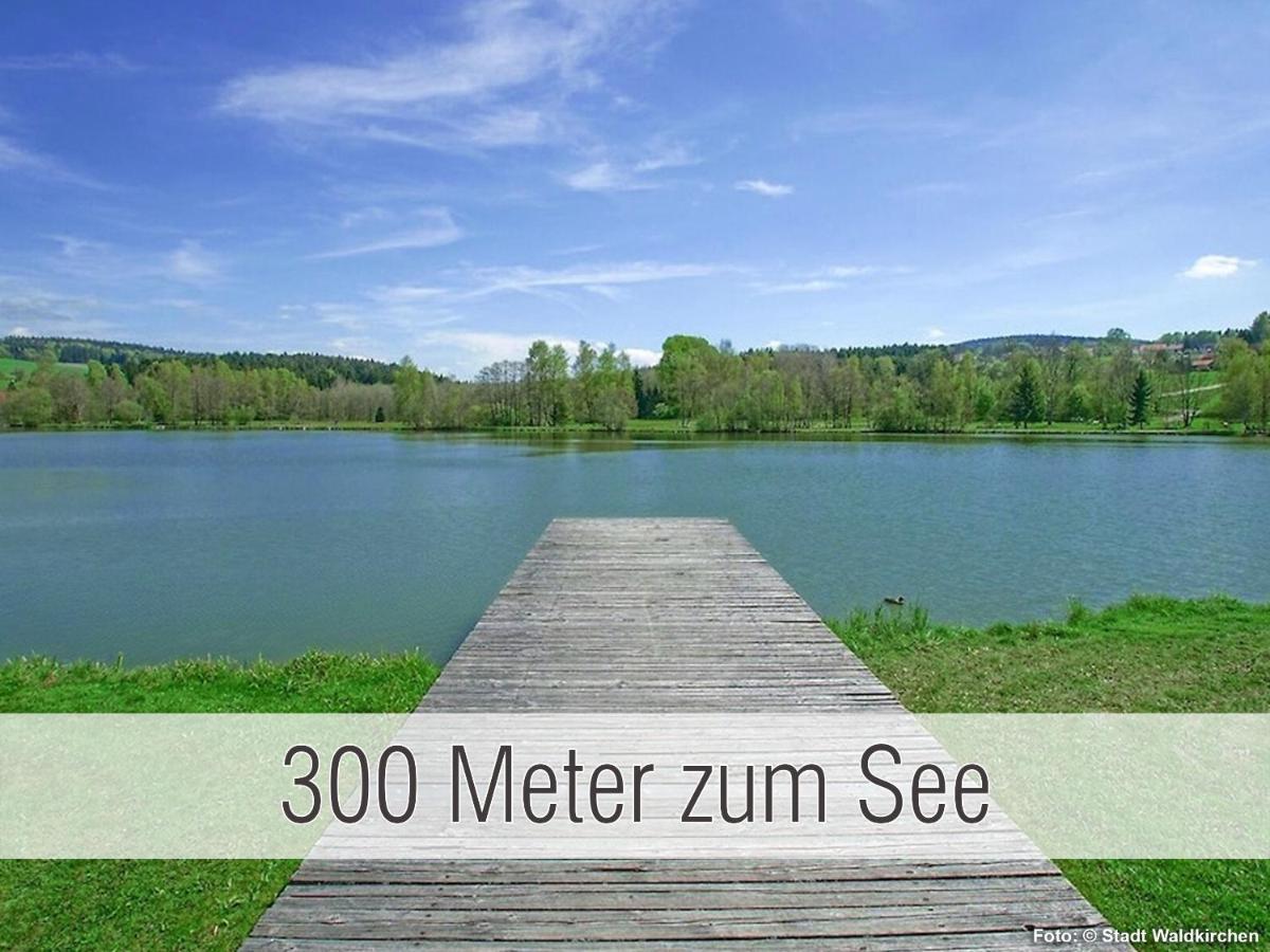 Huette41: Ganze Huette Nah Am See Mit Privatem Whirlpool, Sauna. Umzaeunt. Waldkirchen Exterior photo